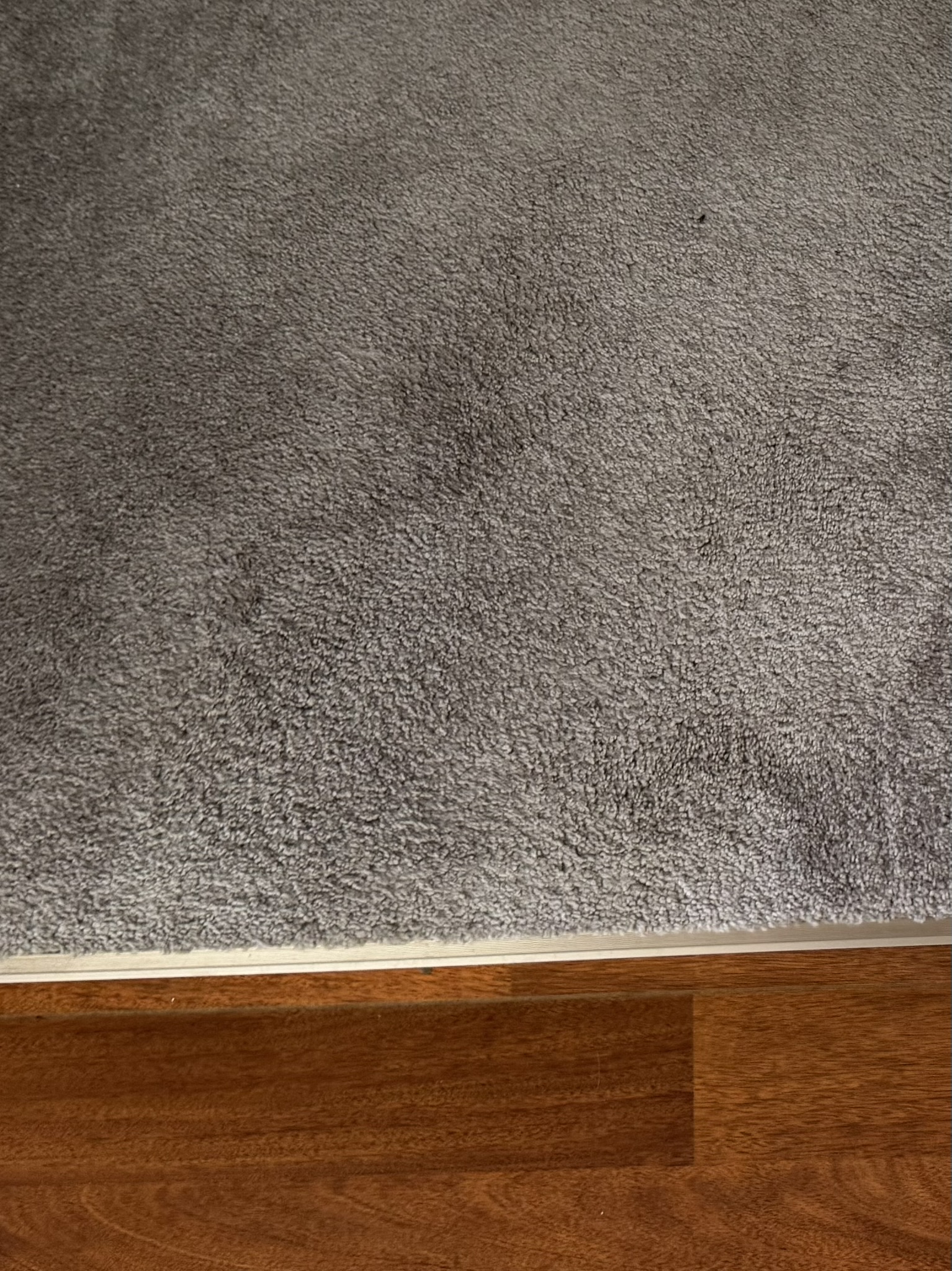 Carpet stain after professional cleaning