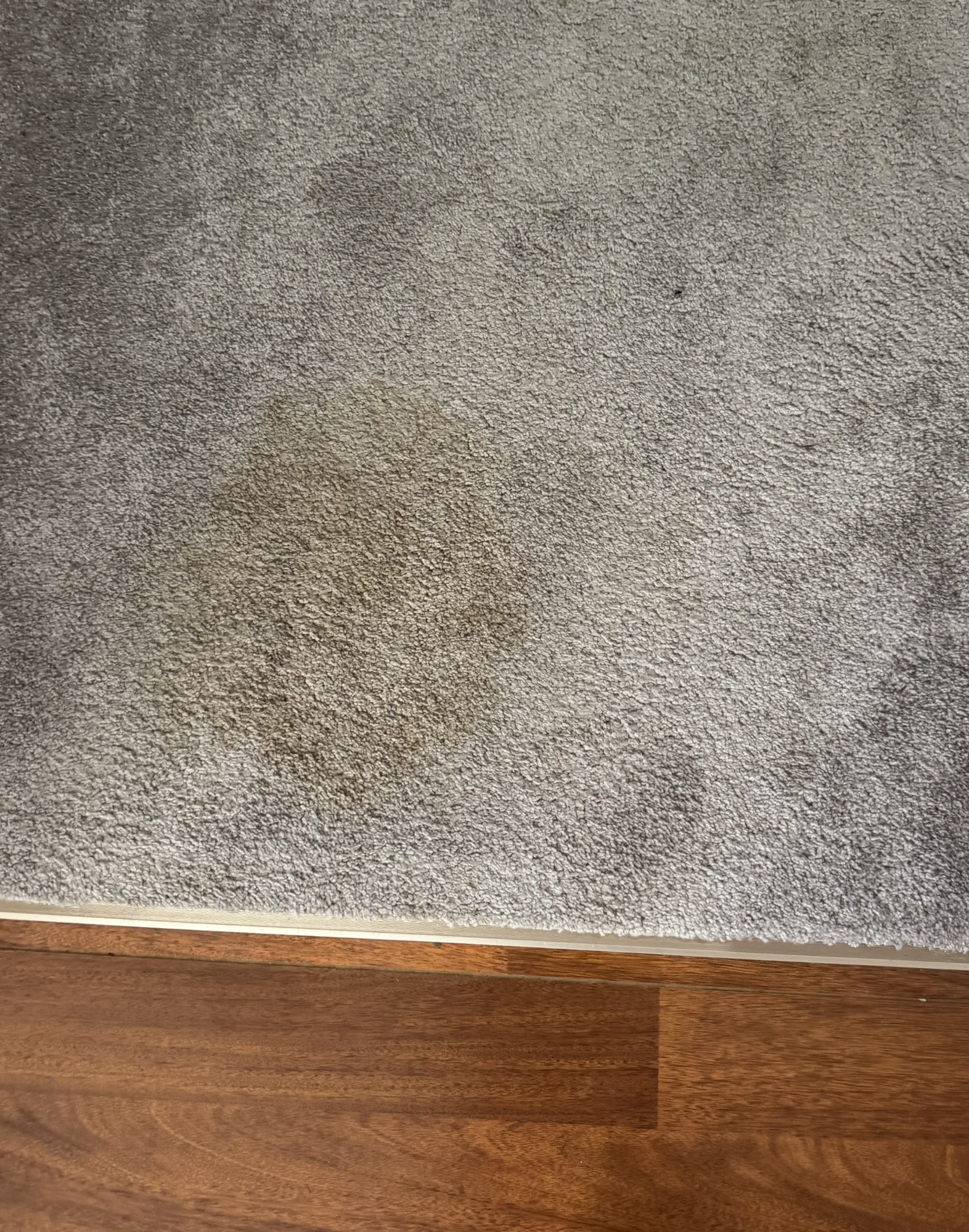 Carpet stain before professional cleaning