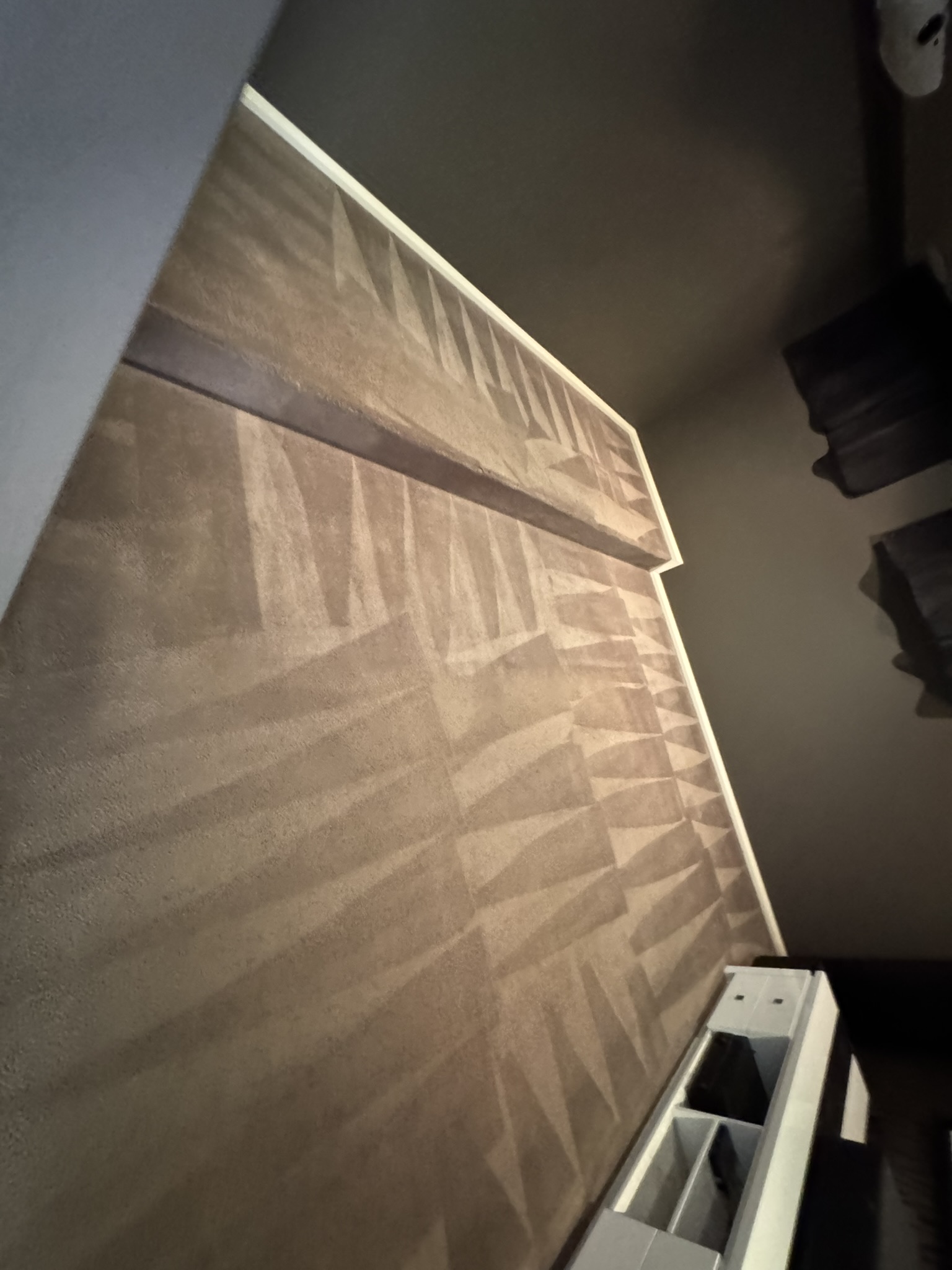 Freshly cleaned carpet with professional grooming marks