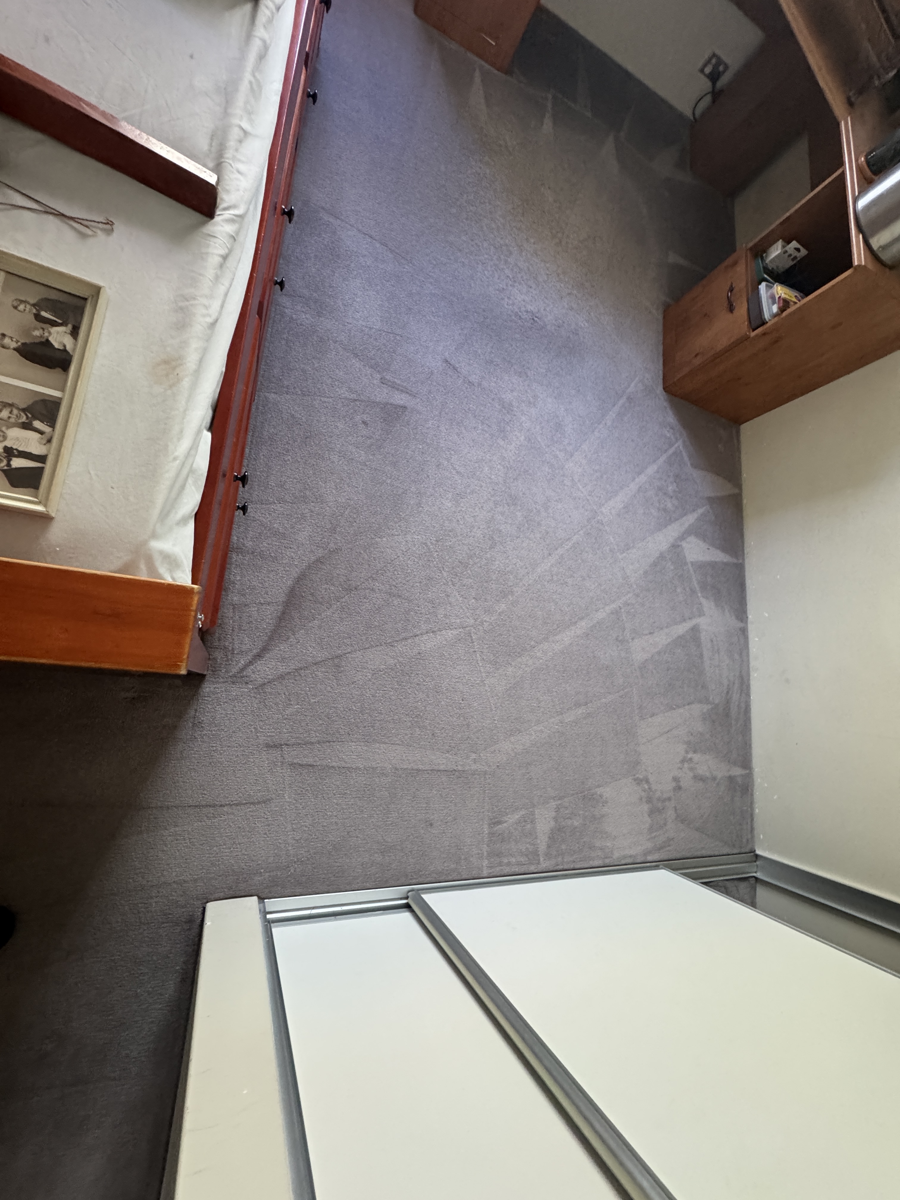 Professional carpet steam cleaning in progress