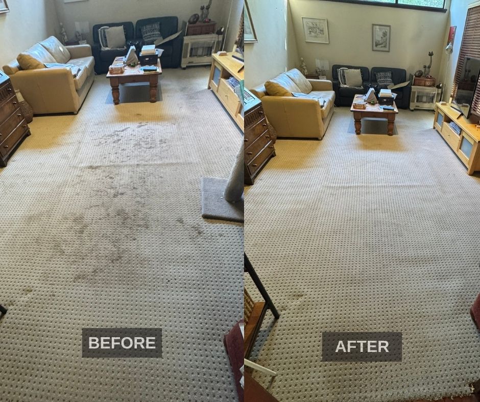 Before and after carpet cleaning result in Perth living room by QuickFresh