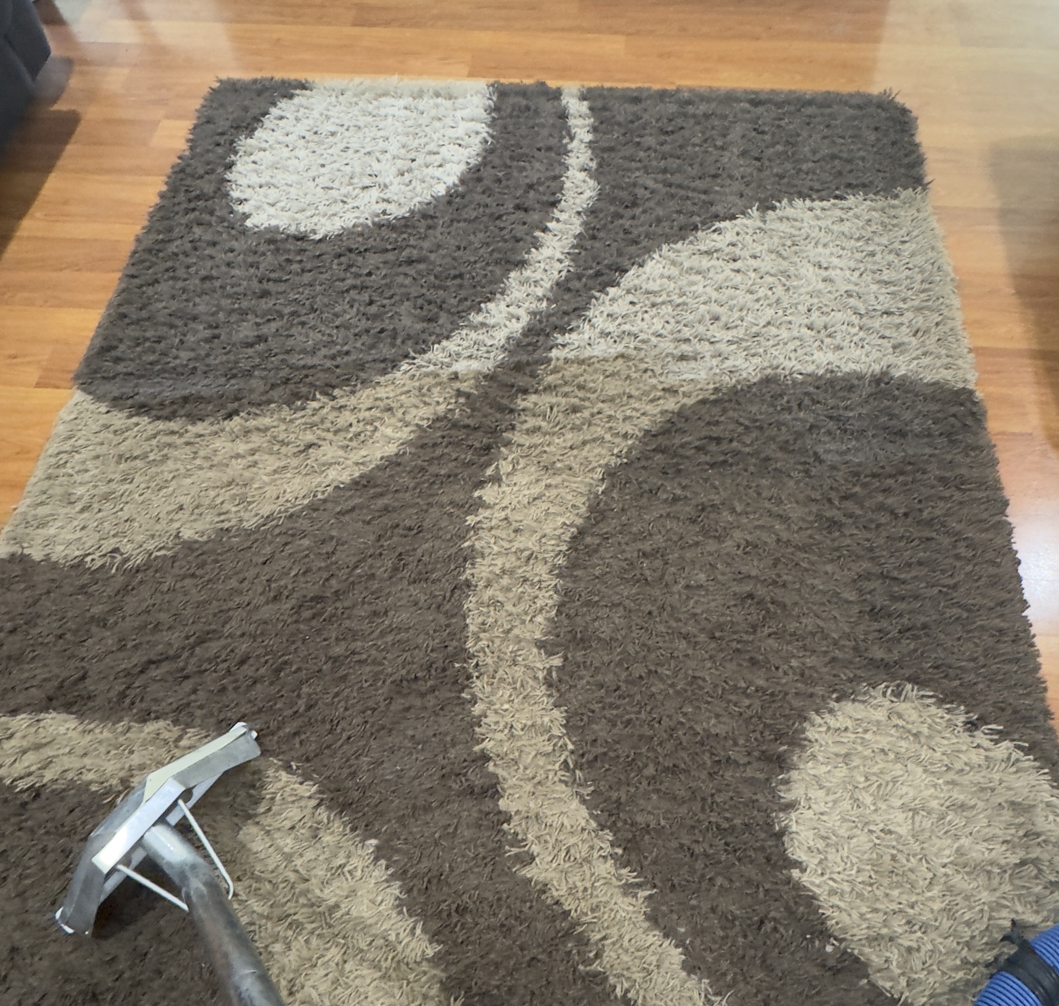 Rug cleaning result